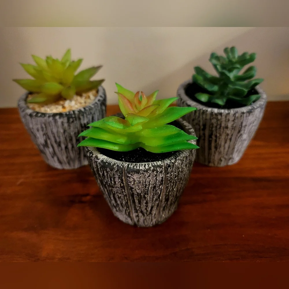 Set of 3 Faux Succulents in Heavy Textured Planters
